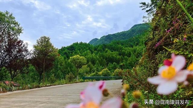 康县：精心管护提品质，整洁靓丽展颜值