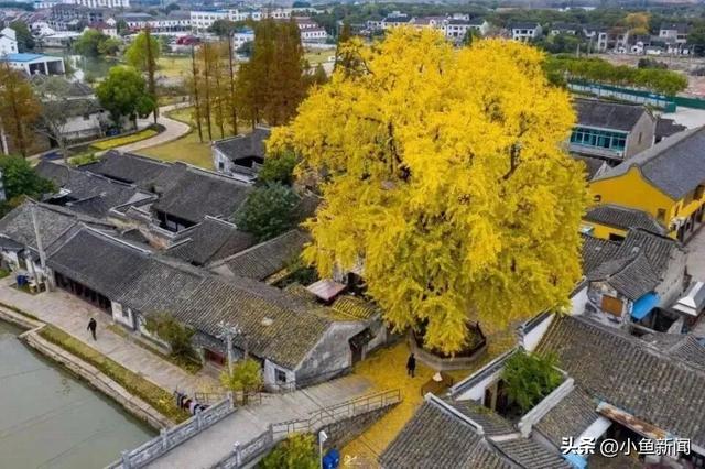 逛博物馆，能领结婚证啦！