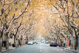 你知道上海的老洋房一条街是哪里吗？图片