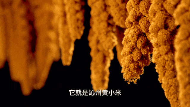 何以康养看长治