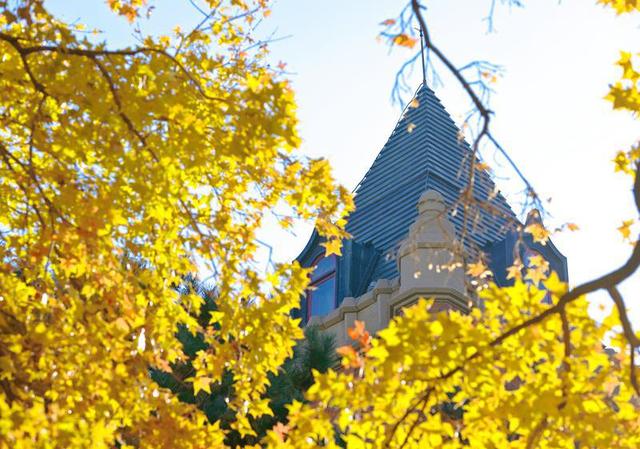 百年鎏金一树秋 | 在松苑咖啡馆，与长春最诗意的五角枫隔窗对望