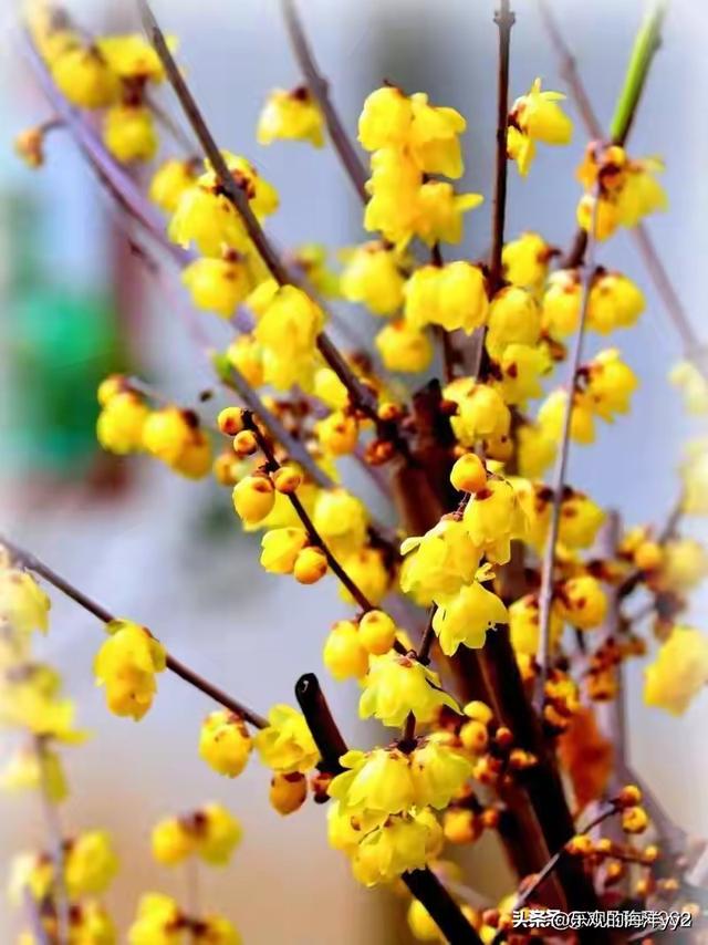 婚姻就这三件事：吃睡聊，爱自己才是终极依靠