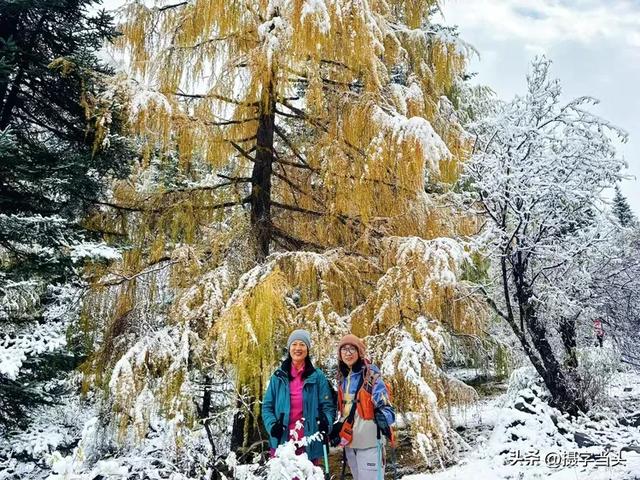 甲依拉措 ：一场白雪与彩林的盛宴