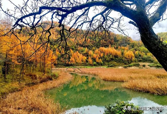 天下第一池，暗送秋波，美卷了！