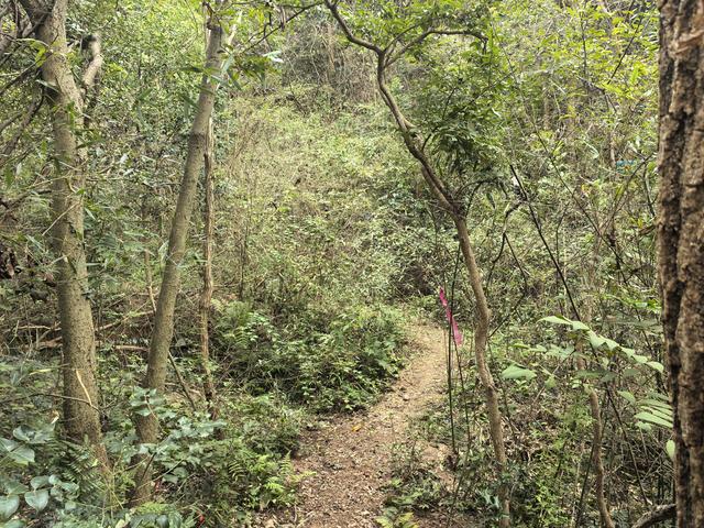南京汤山龙尚湖青龙山佘村一日郊野徒步