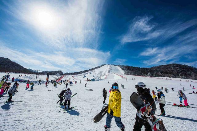 神农架滑雪季重磅升级：企鹅伴滑、萌宠撒野，解锁南国雪乡新玩法