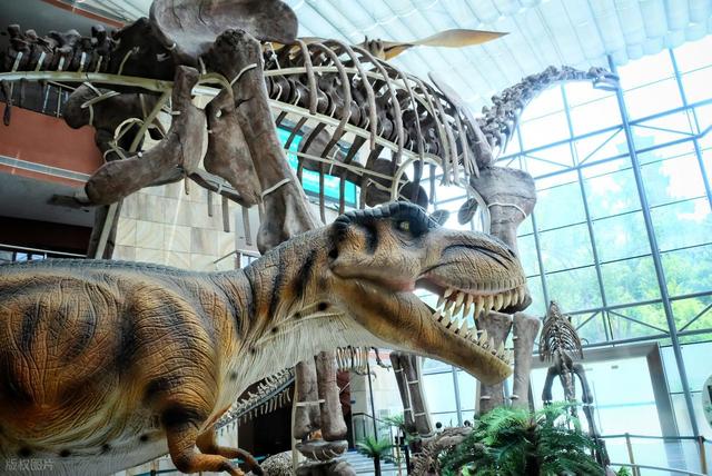 河源景点排行榜，广东河源最值得去的6个好玩景点，你去过几个？