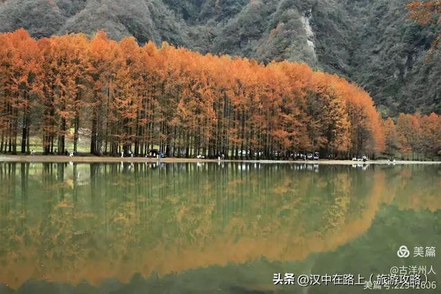 龙池秋色惹人醉