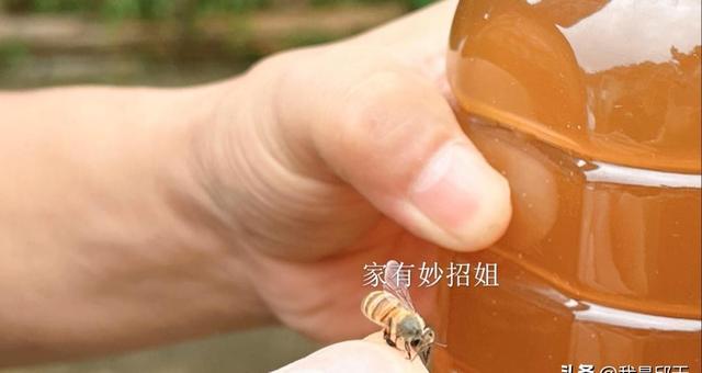 把蜂蜜瓶子倒过来，假蜂蜜立马现原形，以后再也不怕买到假蜂蜜！