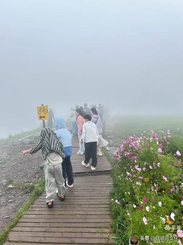 牛树江||云雾山顶的隔空投送