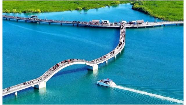 厦门进入“九八”时间！你的定制线路来了→