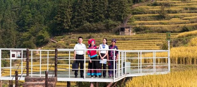 在连山，如何让一片梯田重获新生