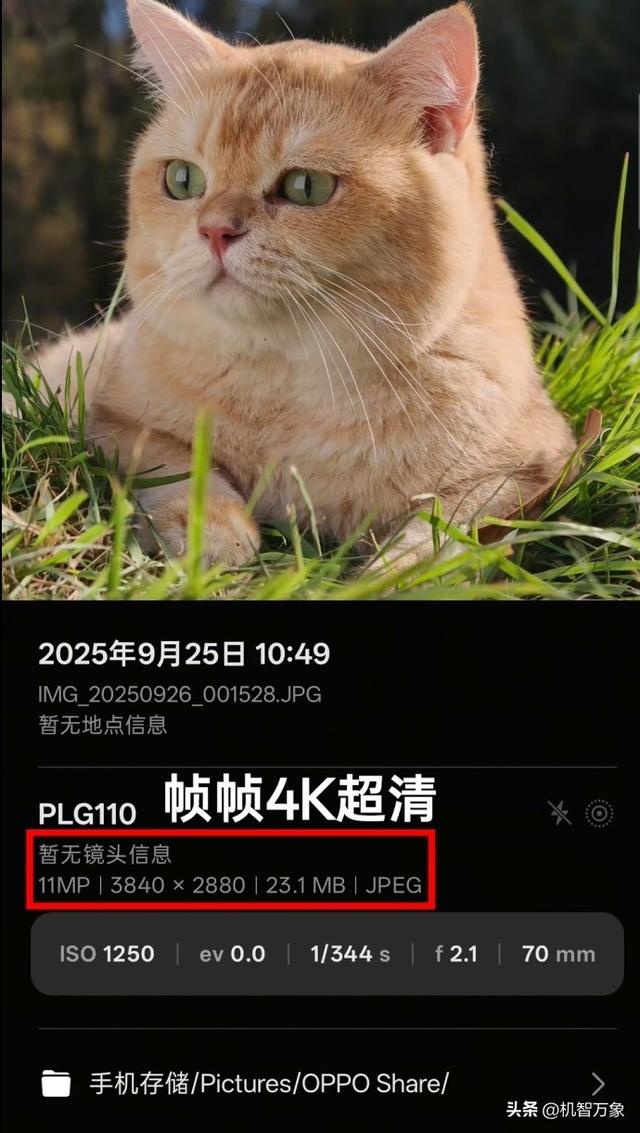 周意保解读直出4K超清实况照片，官方晒出OPPO Find X9系列三种配色