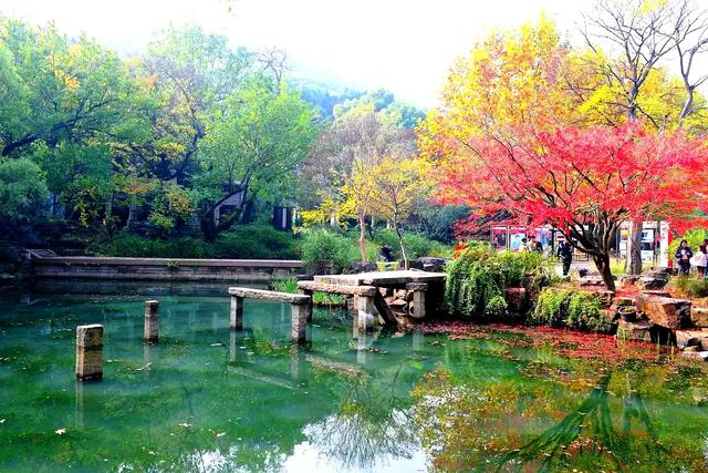 龙光塔下丨断桥与红枫的秋恋