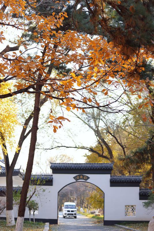 秋之彩色吉林｜层林尽染，鹿影翩跹！这里的秋天美成一首诗