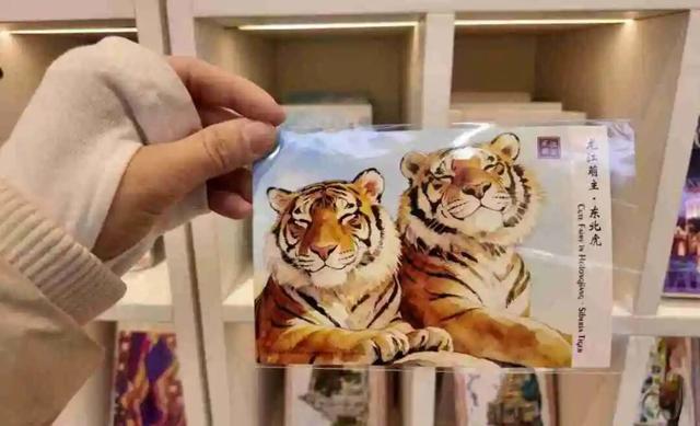 冰雪邮局，今年有料！