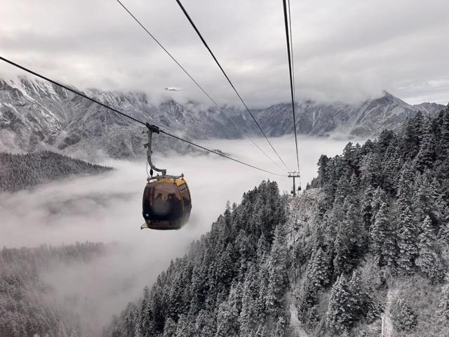 别等春天！陇南的冬日密语里，藏着限定版春日烂漫