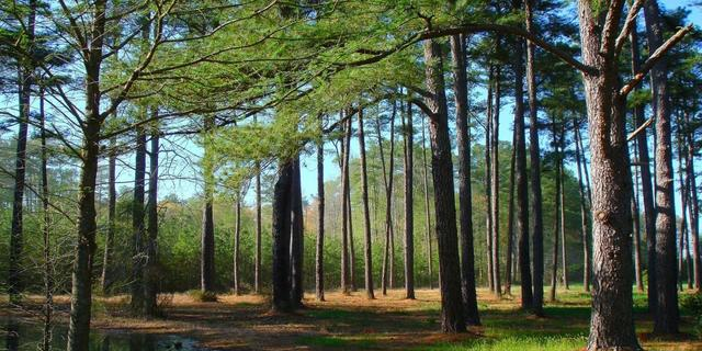 儿女有出息的家庭，大多都有一个聪明的母亲，她从不做这三件事