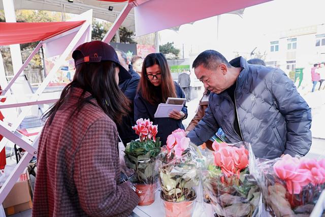 邂逅“家门口的诗与远方”：旅游进社区邀你共赴一场丰台诗意漫游