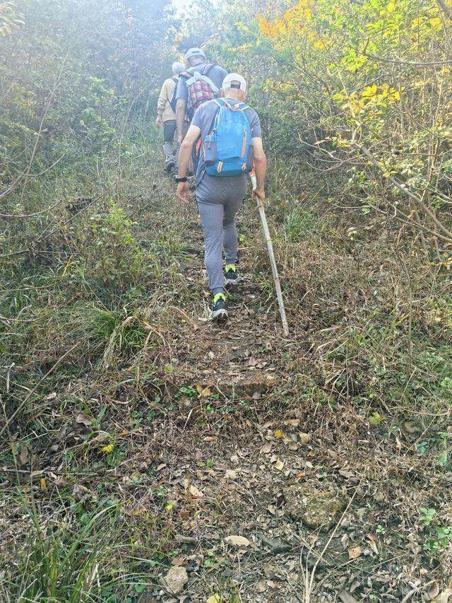 南京龙尚湖，大连山，佘村一日郊野徒步