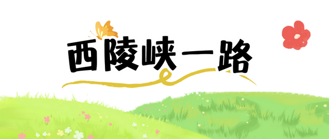 一社一景丨走进西镇社区，倾听从日出到星光的山海交响