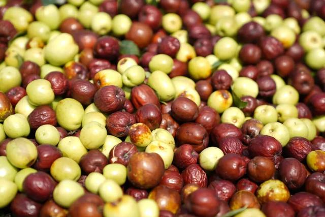 五感聊秋 | “鲁超”游聊城 品味盛满【香触】的黄运秋日