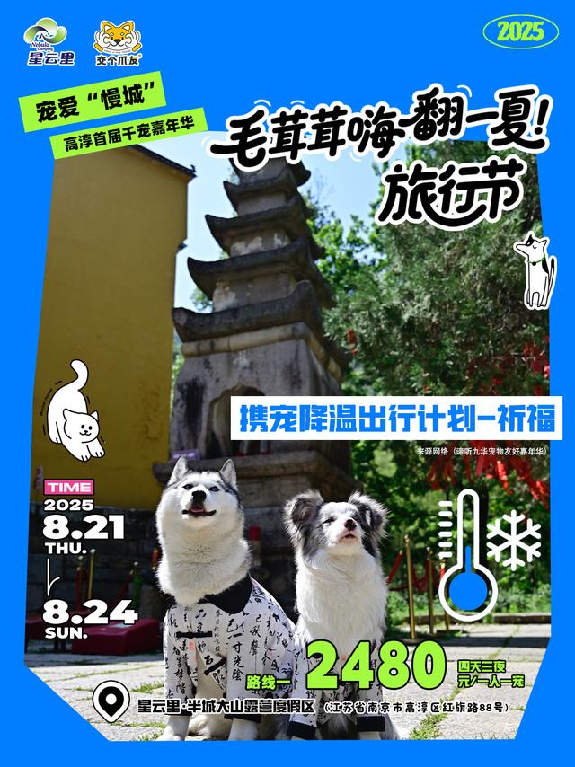 这个8月，拖猫带狗闯江南竹海~
