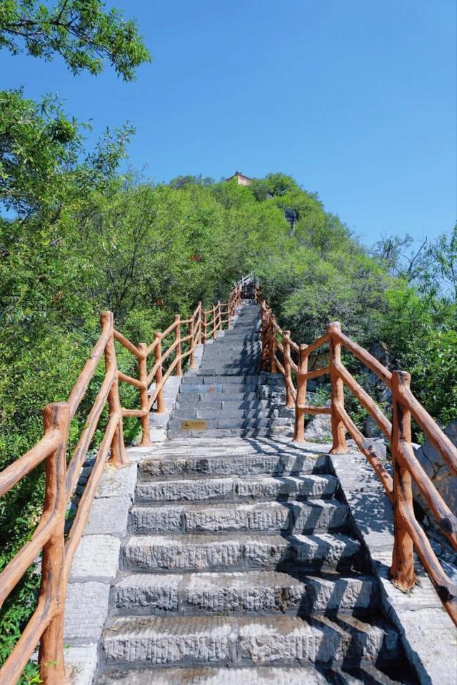 老师快来！神农山免索道，重点是景色太绝