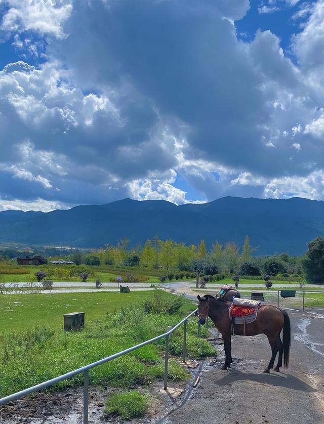 云南10天自由行愁规划？钉钉AI表格出马，路线预算行李全拿捏