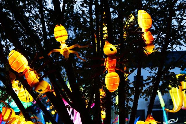 桂林:首届非遗千灯游园,光影艺术璀璨盛宴!