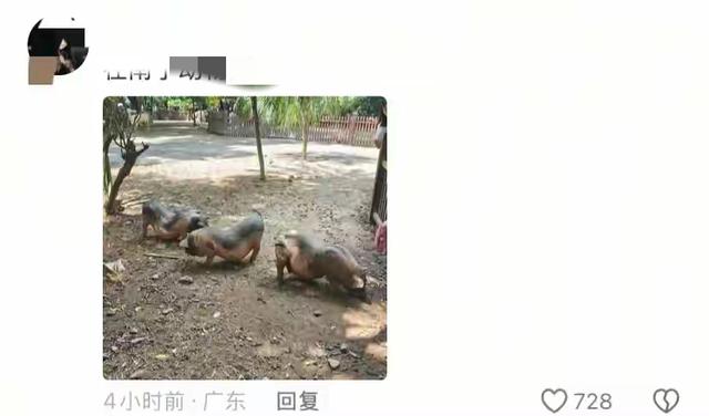 笑不活了 国庆假期结束 动物园里的动物成了第一批“受害者”