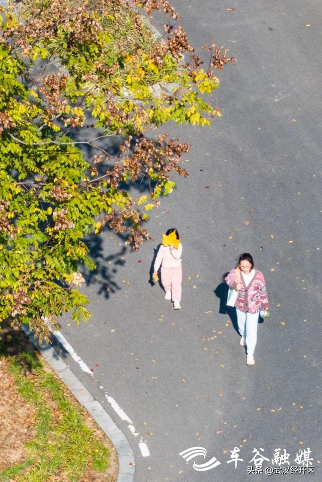 橙黄橘绿时 武汉经开区斑斓如画