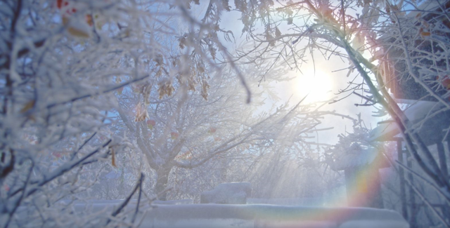 来黑龙江在雪地里泡汤，才是冬天的正确打开方式！
