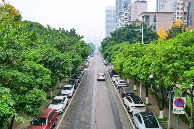 亲爱的老己，这个超治愈街巷地你一定要去