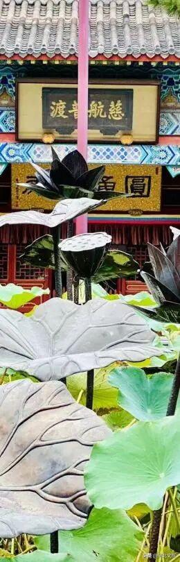 瓷嘟嘟带你游邢州古城啦！