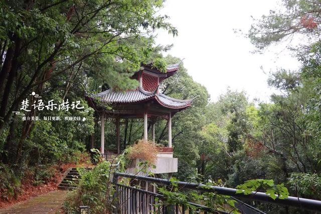 宁波东钱湖畔的清秀小山，丛林秘境中藏着徒步胜地，周边风景更美