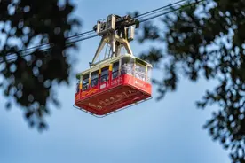 官宣！今天起，重庆297家A级景区，免预约！图片