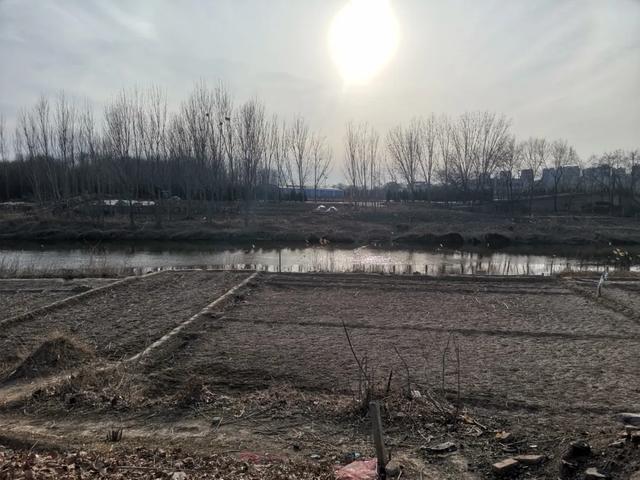 德州城西“花园营地”怎么不见了？