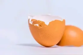 用鸡蛋壳当肥料必须先这样做，盲目使用，只能弄巧成拙图片