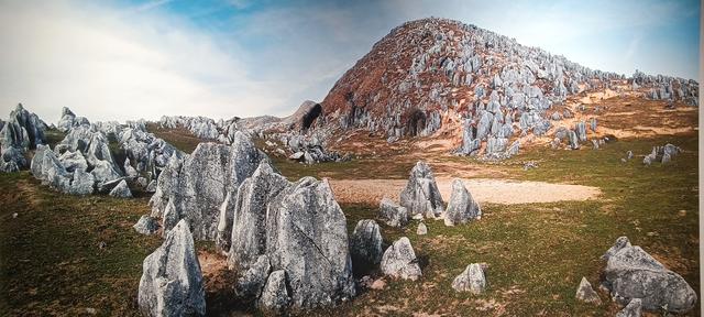 心心念念的大秦岭