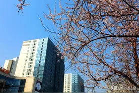 最美人间四月天，升温将成沈阳天气“主旋律”图片