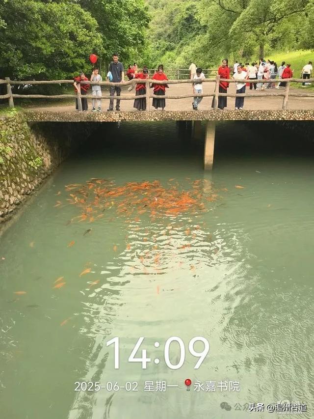 暑假倒计时!温州这几处好玩的地方你都去过了吗?