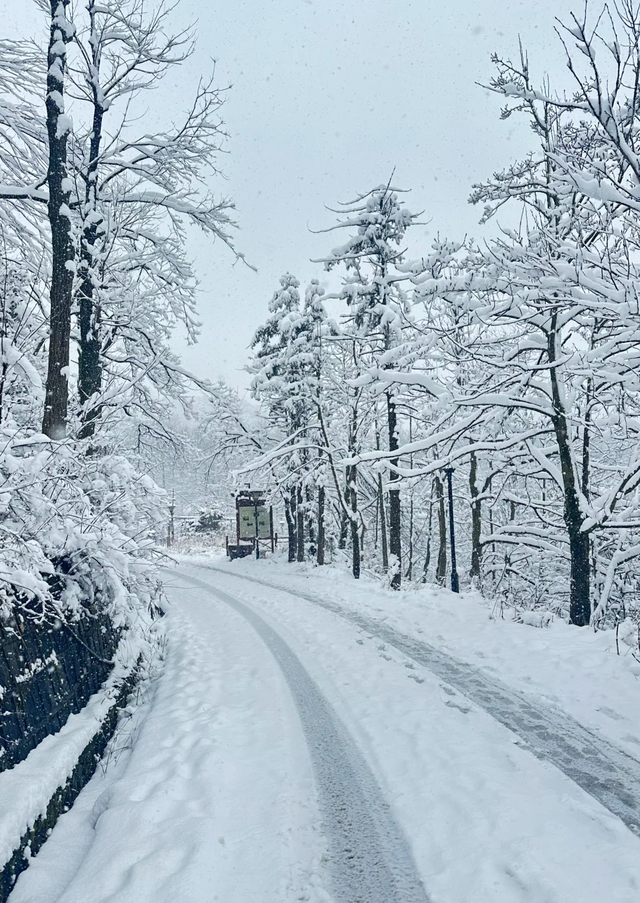 浙江第一场雪落太子尖！6个雪景宝地收藏好