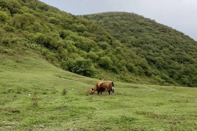 陇南十大景点有哪些？有陇南小九寨、西双版纳等，不愧是塞外江南