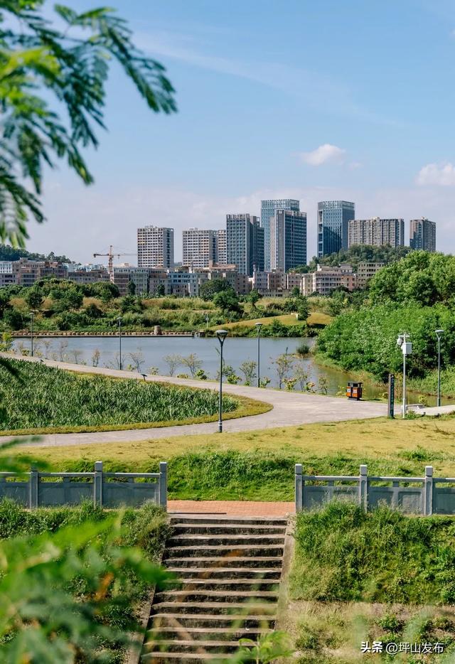 比补贴更诱人，青年人才爱上深圳坪山的新理由