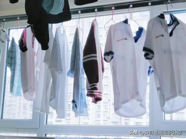 浙江发现一户人家阳台，果然聪明人，大开眼界，给大家晒晒！