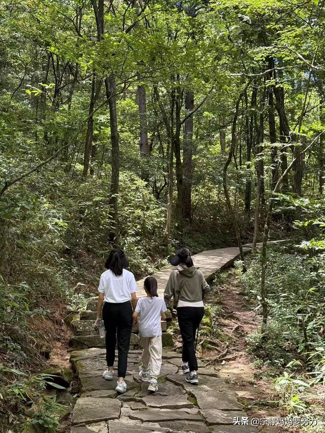 安徽天堂寨5A景区游玩攻略，暑假带孩子最好避暑胜地