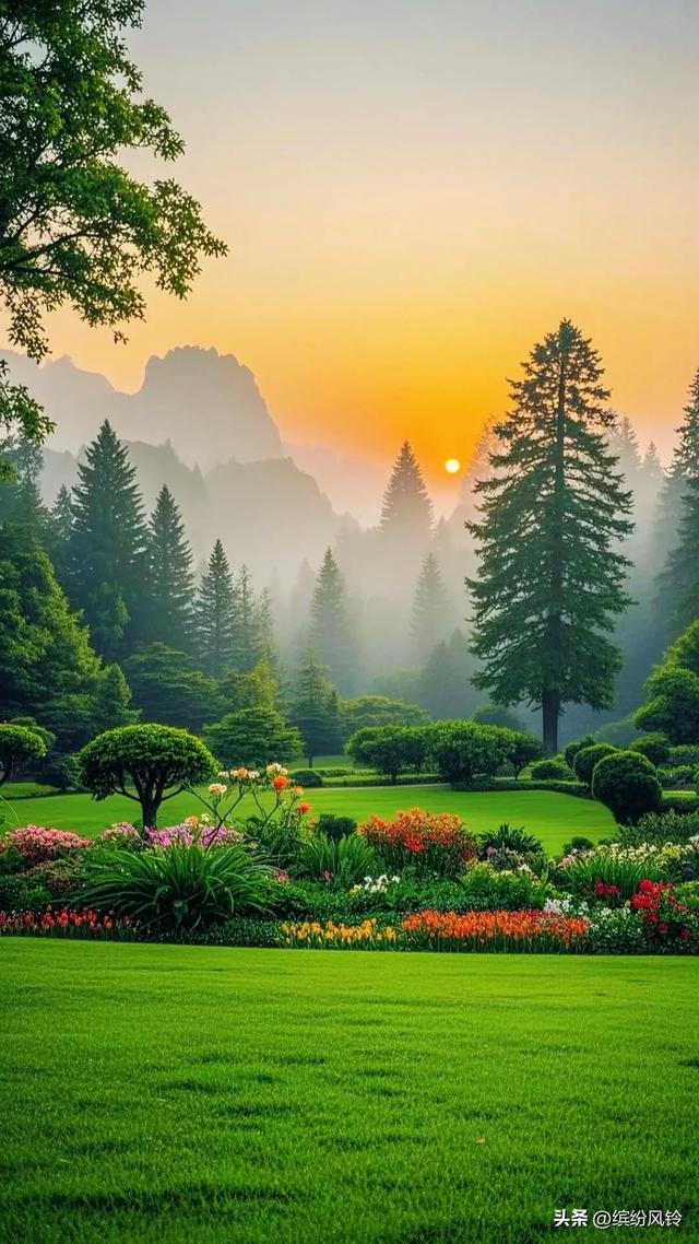 踏入这片绿野，看草尖凝露