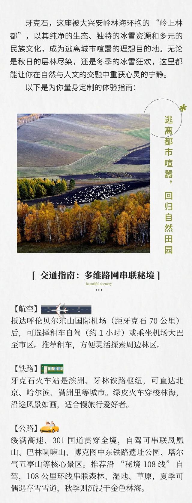 金秋来牙克石 在大兴安岭腹地拥抱自然与诗意......