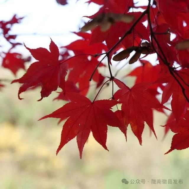 徽县泰湖，山水间的静谧风情